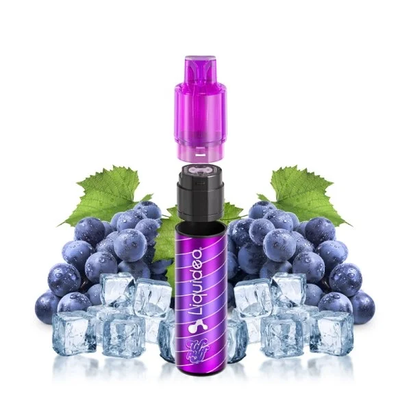 Starter KIit 15000 Puffs « Raisin Glacé » 20MG - WPUFF FUSION BY LIQUIDEO