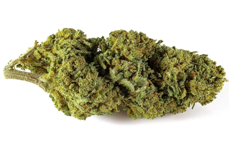 🇷🇪 La Jamaïcaine Hydro Puissance 12% CBD Réunion INDICA