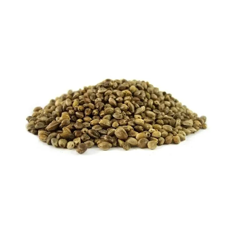 Graines de Chanvre Entières BIO 200gr CBD Réunion – Image 2