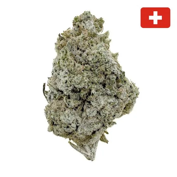🇨🇭 Crystal Angel - Big Bud - Indoor Hydro