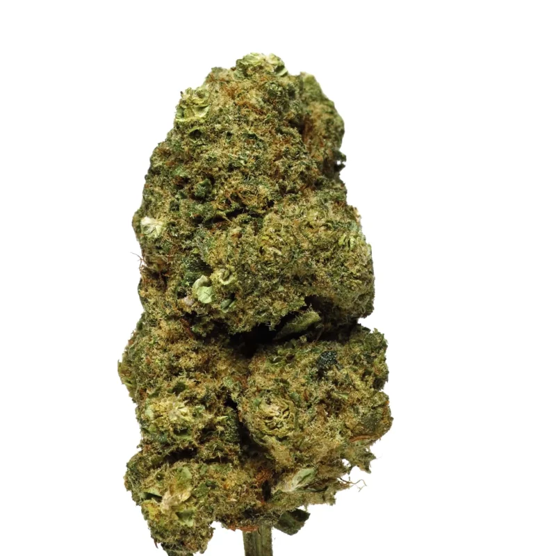 🇷🇪 La Buddha Cheese Puissance 12% CBD Réunion Sativa / Indica