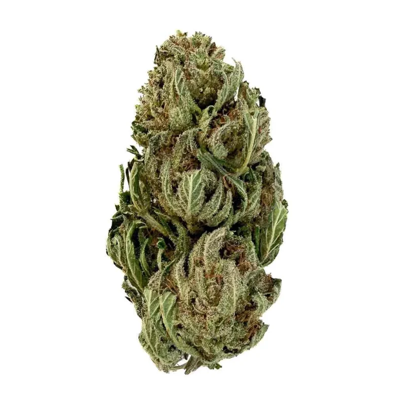 🇷🇪 CBD Peï Outdoor BIO du Sud de la Réunion